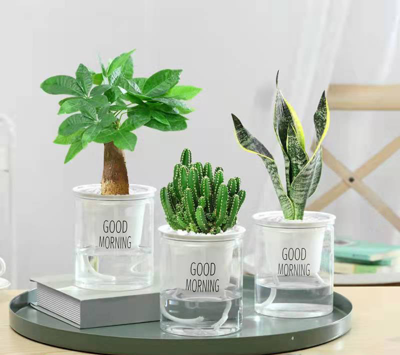 Good Morning Self-Watering Pot