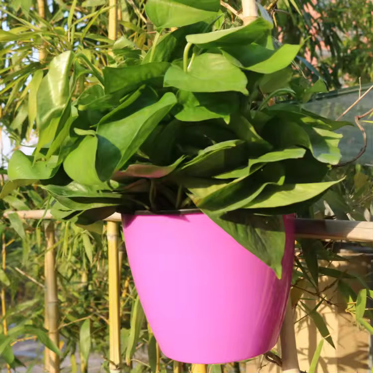 Lazy Hanging Pot - Self-Watering Wall Planter