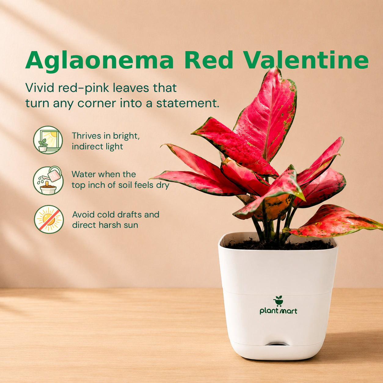 Ruby & Green Trio Bundle