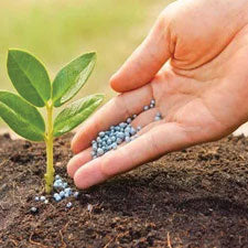 Soil & Fertilizers