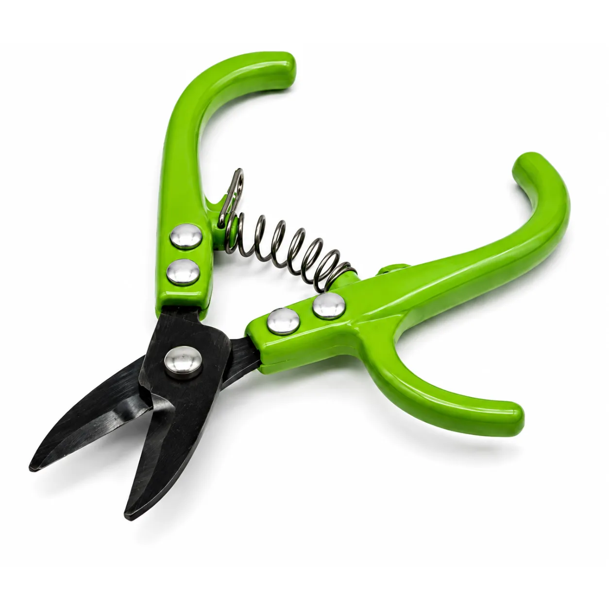 Fruit Harvest Shear