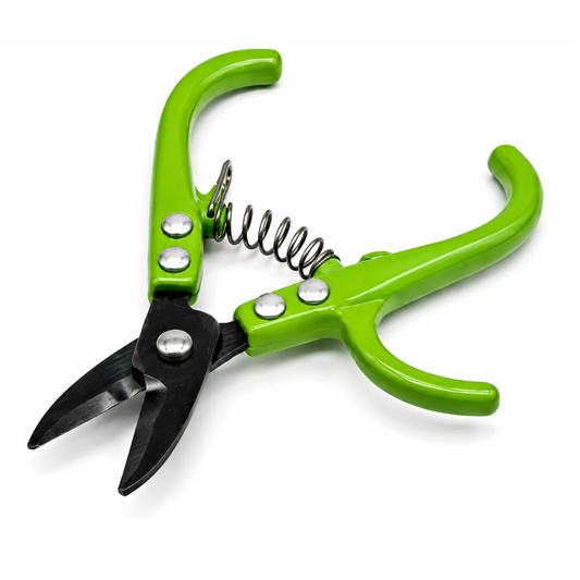 Fruit Harvest Shear