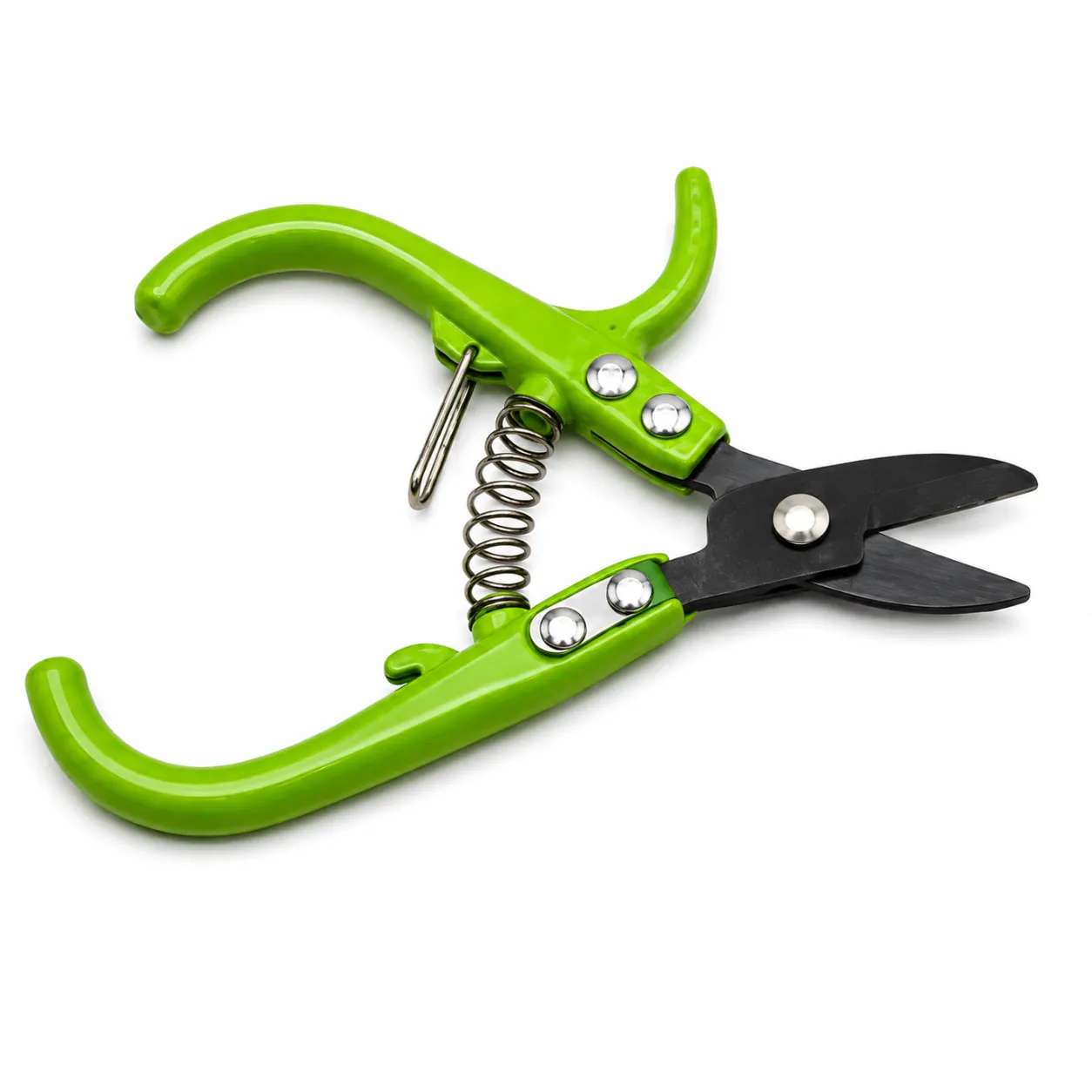 Fruit Harvest Shear