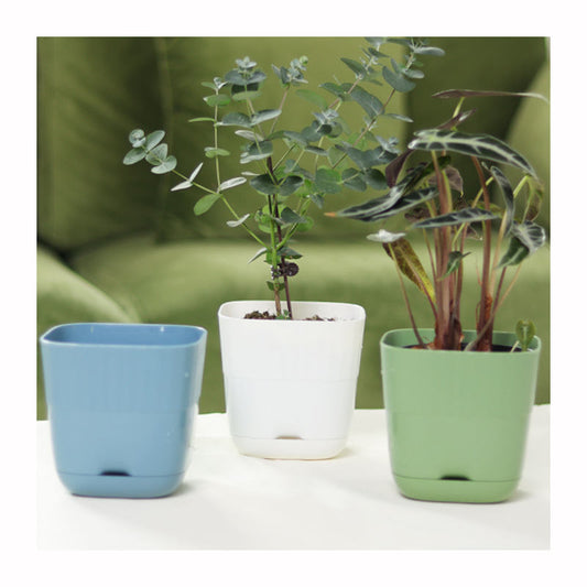 Plastic Flower Pot - PlantMart.pk