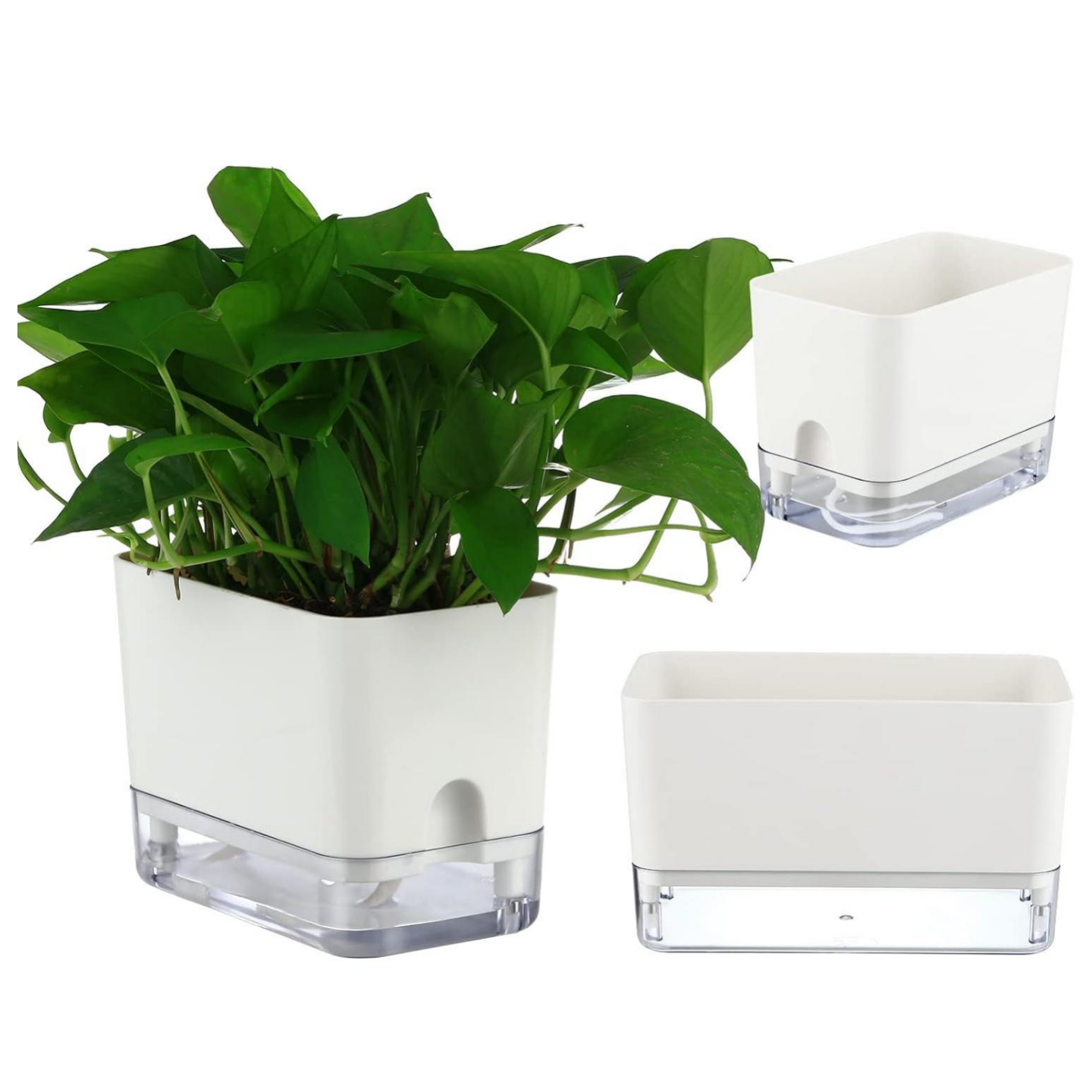 Modern Self-Watering Planter - PlantMart.pk