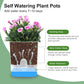 Detachable Self-Watering Dual-Pot Planter - PlantMart.pk
