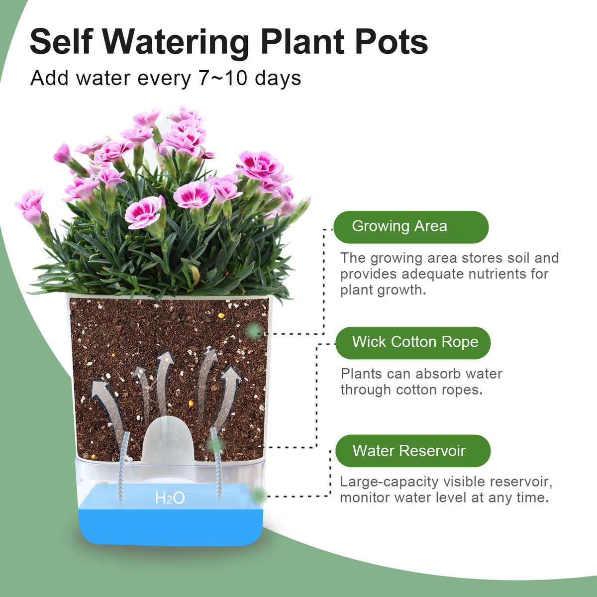 Detachable Self-Watering Dual-Pot Planter - PlantMart.pk