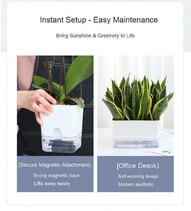 A promotional graphic for a self-watering plant pot with text overlays highlighting its instant setup and easy maintenance. The graphic features two side-by-side panels: on the left, a hand holding a white planter with a clear water reservoir and a green plant, demonstrating the magnetic lift feature; on the right, a snake plant in a matching white planter on a desk.