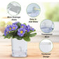 Detachable Self-Watering Dual-Pot Planter - PlantMart.pk
