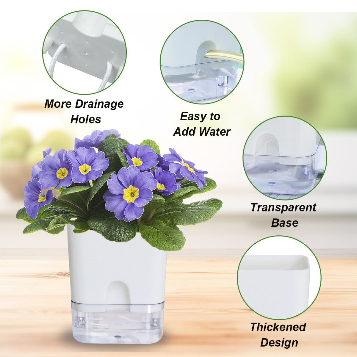Detachable Self-Watering Dual-Pot Planter - PlantMart.pk