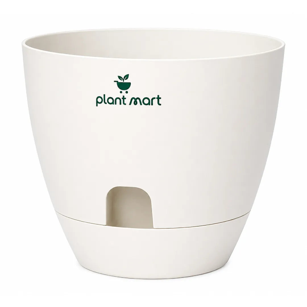 Self-Watering Plastic Flower Pot with Water Reservoir - PlantMart.pk