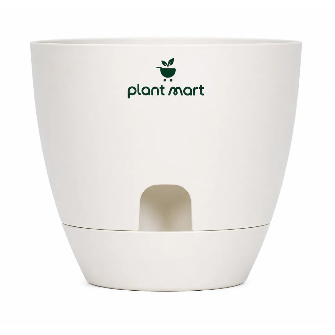 Self-Watering Plastic Flower Pot with Water Reservoir - PlantMart.pk
