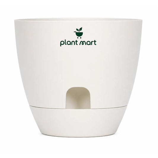 Self-Watering Plastic Flower Pot with Water Reservoir - PlantMart.pk