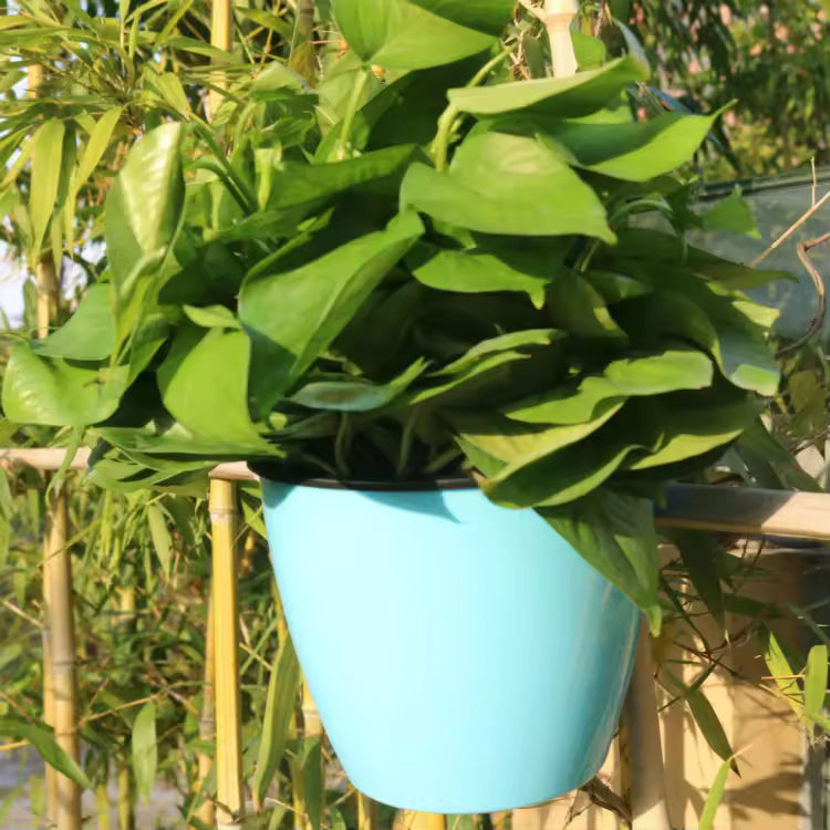 Lazy Hanging Pot - Self-Watering Wall Planter