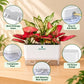 Hydro Magnetic Garden Box Planter