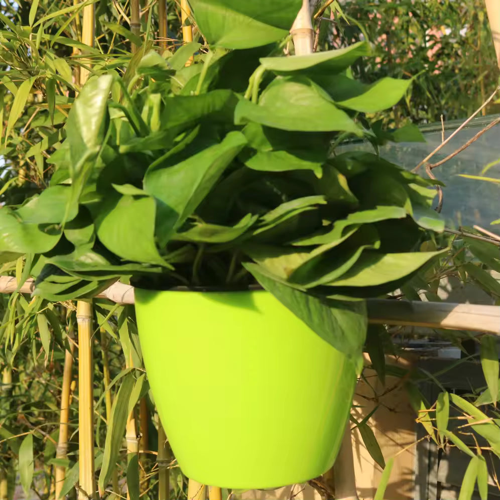 Lazy Hanging Pot - Self-Watering Wall Planter