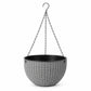 Hanging Orchid Wall-Mounted Pot