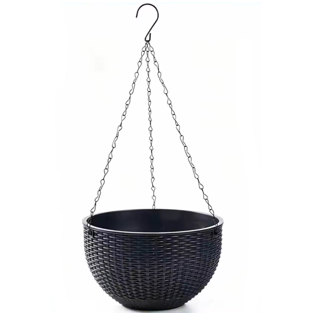 Hanging Orchid Wall-Mounted Pot