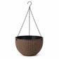 Hanging Orchid Wall-Mounted Pot