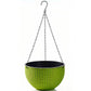 Hanging Orchid Wall-Mounted Pot