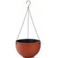 Hanging Orchid Wall-Mounted Pot