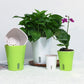Dual-Layer Wick Self-Watering Pot