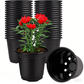 Classic Nursery Pot