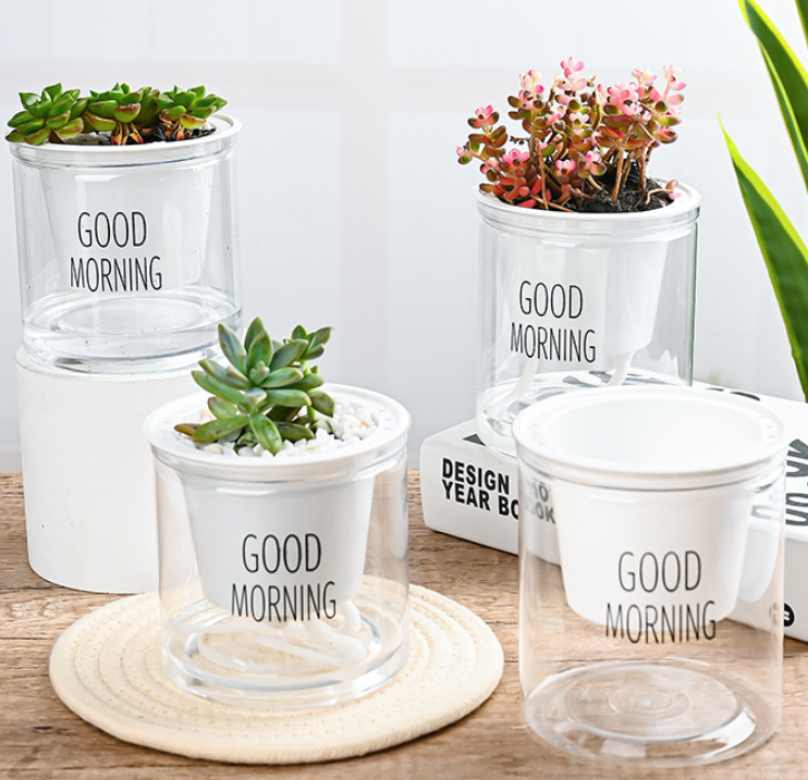 Good Morning Self-Watering Pot
