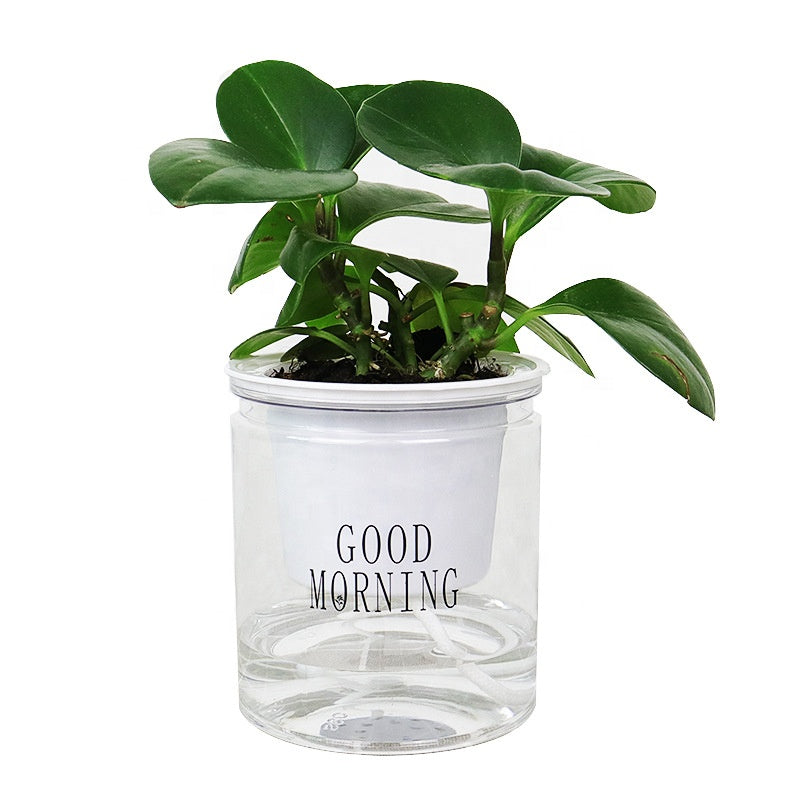 Good Morning Self-Watering Pot