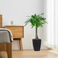 Modern Tall&nbsp;Plastic Planter - PlantMart.pk