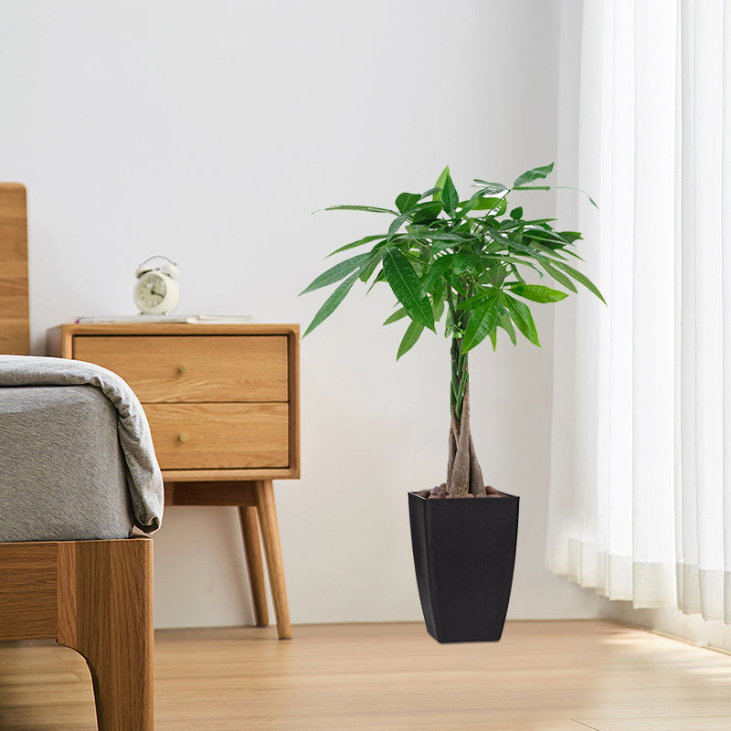 Modern Tall&nbsp;Plastic Planter - PlantMart.pk