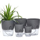Self-Watering Plant Pot with Transparent Water Reservoir - PlantMart.pk