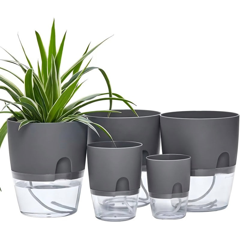 Self-Watering Plant Pot with Transparent Water Reservoir - PlantMart.pk