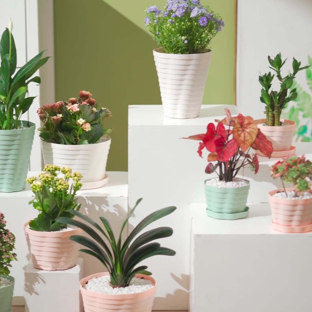 Tall Ribbed Plastic Flower Pot - PlantMart.pk