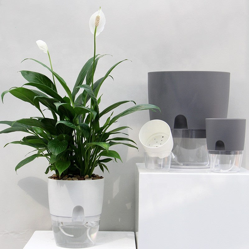 Self-Watering Plant Pot with Transparent Water Reservoir - PlantMart.pk