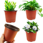 Classic Nursery Pot