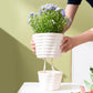 Tall Ribbed Plastic Flower Pot - PlantMart.pk