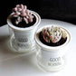 Good Morning Self-Watering Pot