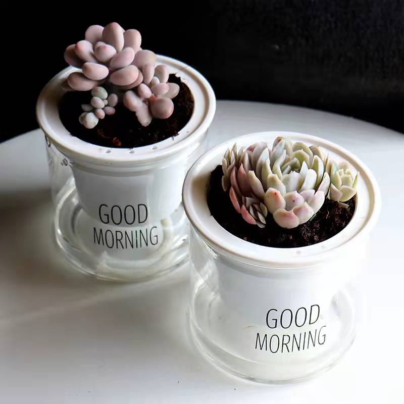 Good Morning Self-Watering Pot