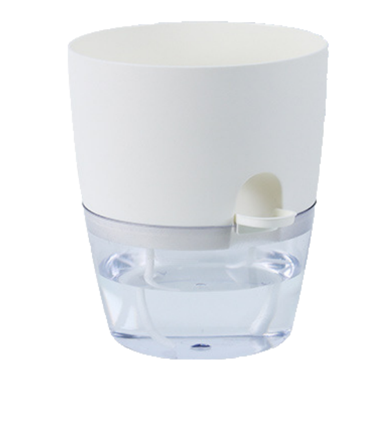 Self-Watering Plant Pot with Transparent Water Reservoir - PlantMart.pk