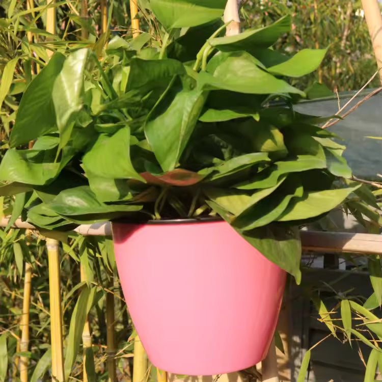 Lazy Hanging Pot - Self-Watering Wall Planter