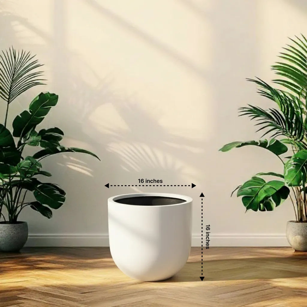 White pot with plants on either side on a wooden floor.