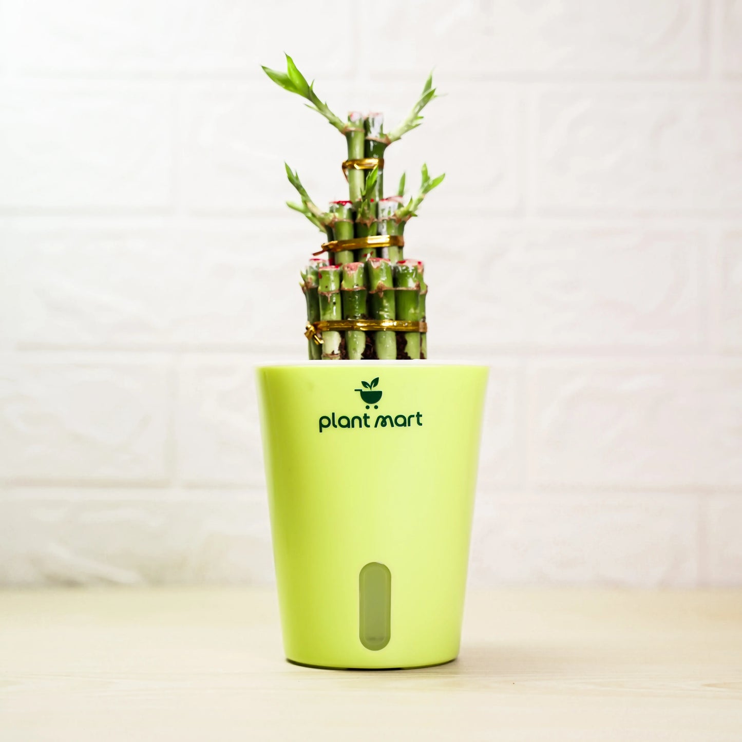 Green potted plant with 'plantmart' branding on a white background