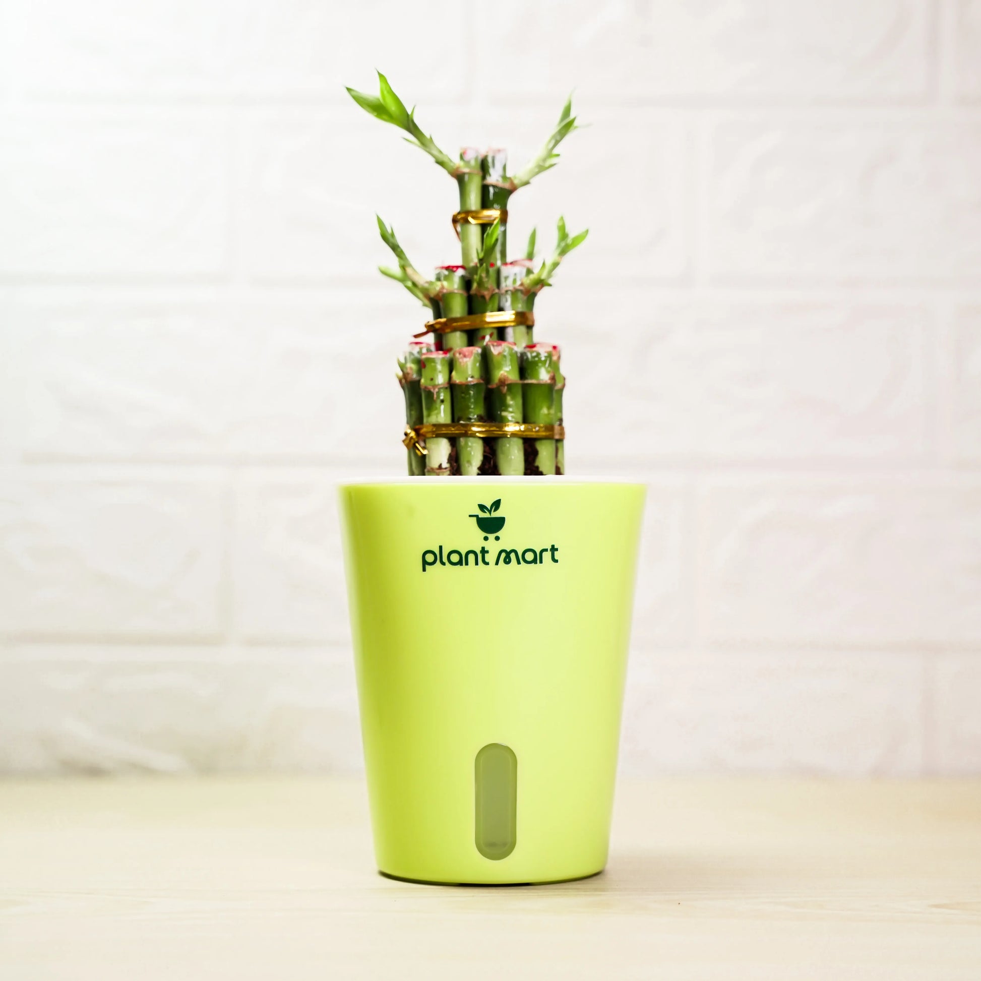Green potted plant with 'plantmart' branding on a white background