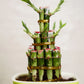 Stacked green bamboo plants in a pot with a plain background