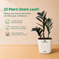 A potted ZZ plant with glossy dark green leaves in a white plant pot on a light wood surface, set against a warm beige background with product text and care icons on the left.
